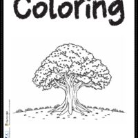 Tree coloring page for kids